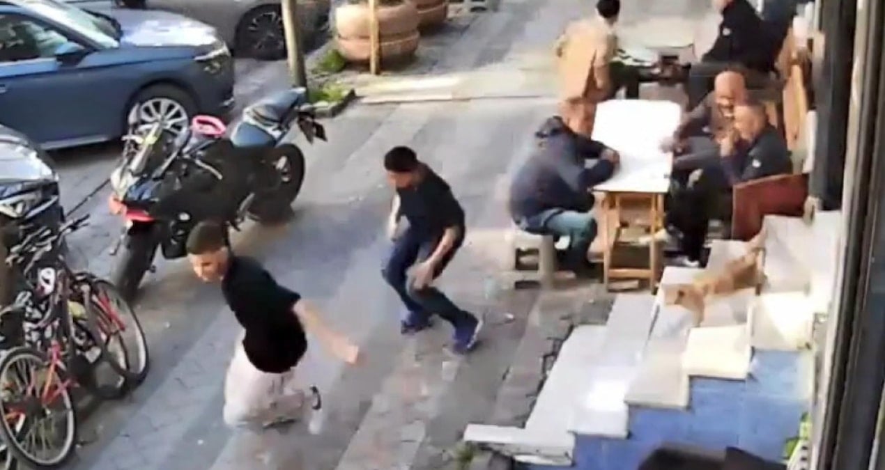 Kedilerin Krallığı: Kuaförde Panik Anları ve Merdiven Atlama Macerası