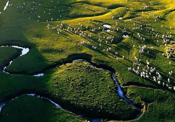 yayla-kiyimina-mhpden-itiraz-bqawMLvT