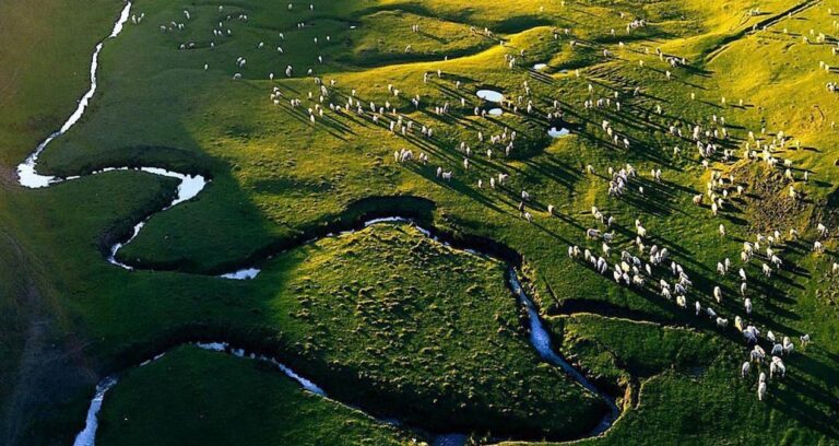 yayla-kiyimina-mhpden-itiraz-bqawMLvT