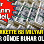 Bir hatanin bedeli dev sirket bir gunde 68 milyar dolar deger kaybetti YMMDph66