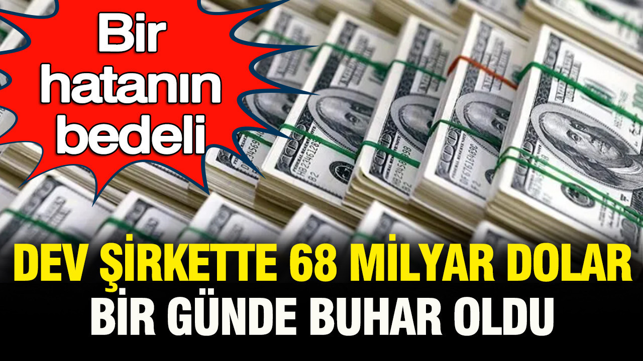 Bir hatanin bedeli dev sirket bir gunde 68 milyar dolar deger kaybetti YMMDph66